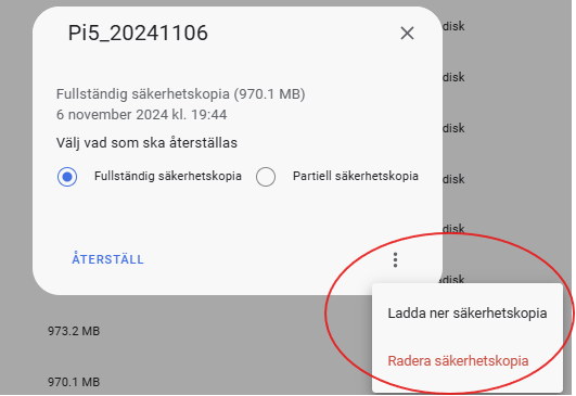 Ladda ned backup från SD-kort till datorn