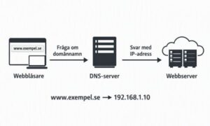 En bild som symboliserar och förklarar en DNS server. Bilden är skapad av Copilot