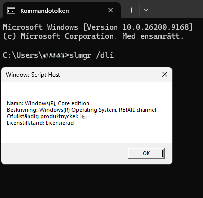 Bild från kommandotolken hur jag tar reda på vilken windows 11 licens jag har