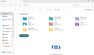 Bild på windows 11 utforskaren