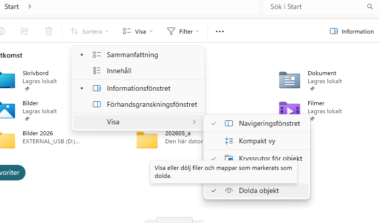 Bild på utforskaren och inställningen där jag kan visa dolda filer och objekt