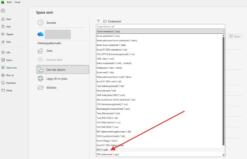 visar hur jag kan spara ett excel som en pdf